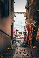 Klein steegje naar de zee met kledingwinkel in Rovinj