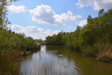 Parc national de Biesbosch sur Hans Janssen