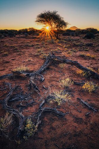 A taste of Africa_V by Loris Photography