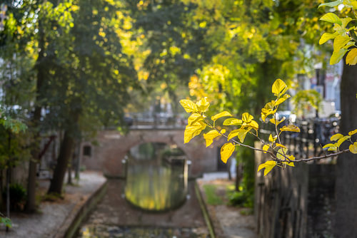 Die Brigittenbrücke in Utrecht über die Nieuwegracht im Herbst (2)