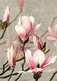 Magnolia with butterfly by Moonheart Artworks