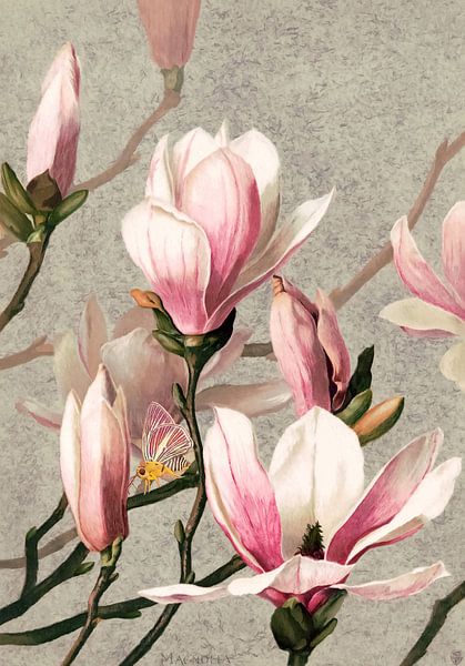 Magnolie mit Schmetterling von Moonheart Artworks