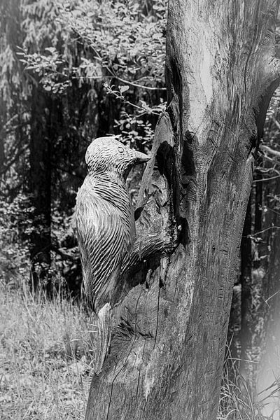 Wood carving at 1,600 m altitude by Ad Van Koppen Fotografie