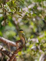 Sri Lanka; Insel der Wunder