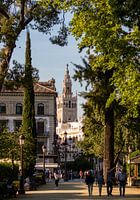 The Giralda