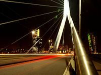 Erasmusbrug Rotterdam