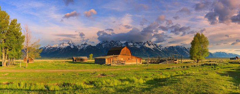Rangée de mormons panoramique, PN du Grand Teton, Wyoming par Henk Meijer Photography