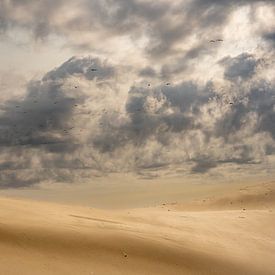 Waar het land eindigt van Gerry van Roosmalen