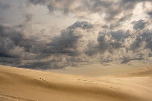 Wo das Land endet von Gerry van Roosmalen