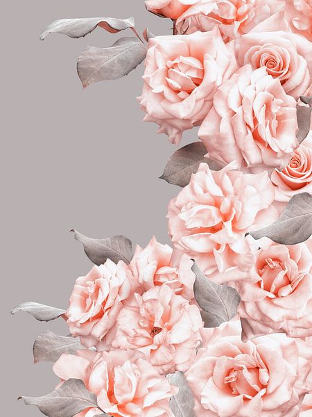 Wunderschöne Pfirsisch Lachsfarbene Rosen Rahmen von Floral Abstractions