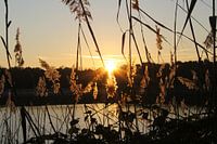 Lever de soleil sur un lac