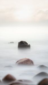Steine im Nebel von Nils Steiner