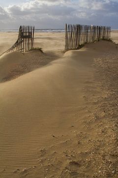 Zäune auf Stand in wechselnden Sanden von Menno van Duijn