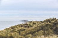 Dunes by Driek Steegmans thumbnail