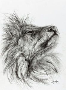 Fier lion dessiné en noir et blanc.