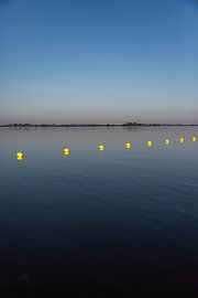 Balles jaunes sur Anne Terpstra