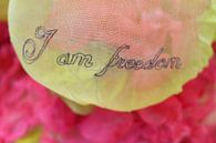 I am Freedom II by Lisa Kellner thumbnail