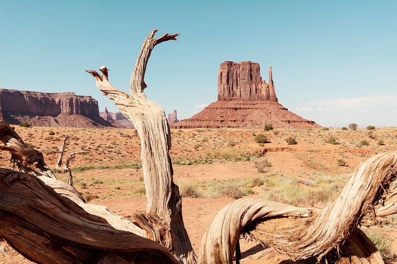 American West - Monument Valley V by Philippe HUGONNARD