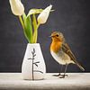 Vogel - Rotkehlchen und Blumenstillleben von Jürgen Schmittdiel Photography
