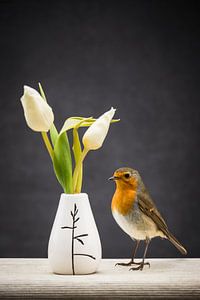 Vogel - Rotkehlchen und Blumenstillleben
