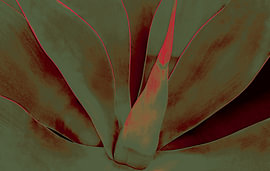 Abstract Nature von Mona Tesch ArtInterieure