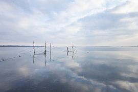 Wo Luft und Netz zusammenkommen von Dymfna Briede