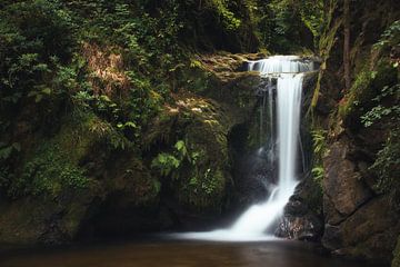 Geroldsau waterval van GoodMoodPhotos