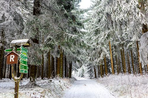 Prachtig winterlandschap op de hoogten van het Thüringer Wald