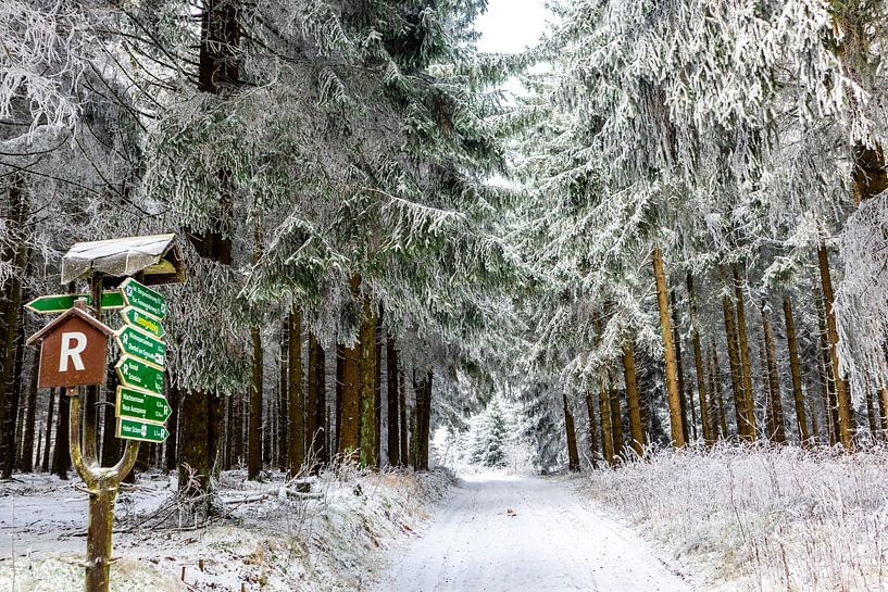 Beautiful winter landscape on the heights of the Thuringian Forest by Oliver Hlavaty