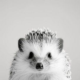 Hedgehog by Poster Art Shop