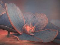 Hydrangea blossom 4