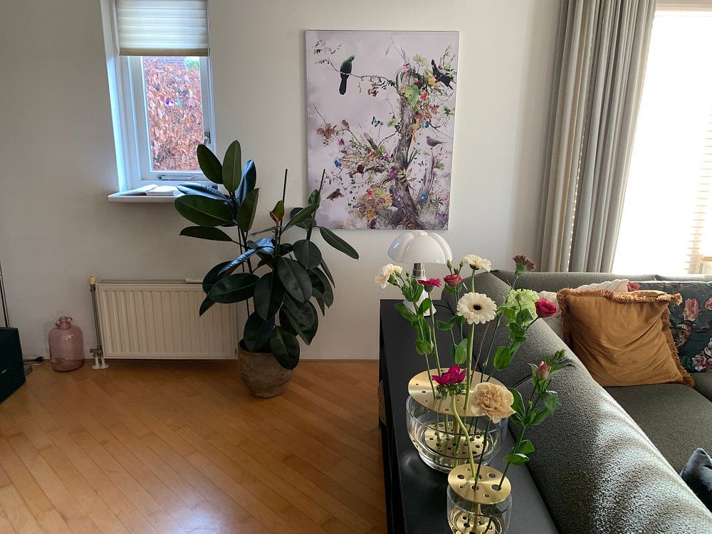 Aerius  von Jesper Krijgsman 