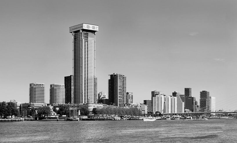 Rotterdam view over the river Maas and Zalmhaven Black/White by Omni VR