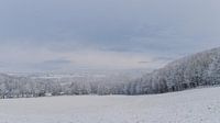 Winterlandschaft
