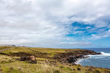 Landschap van Paaseiland met groene vlaktes omringd door de Stille Oceaan, Chili, Polynesië van WorldWidePhotoWeb