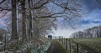Hikers in Limburg in wintry landscape.