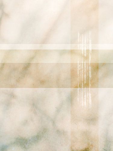 Weiche Schatten der Natur mit geometrischen Formen in Pastelltönen