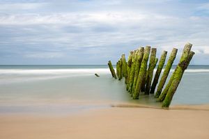 The Beach van Truus Nijland