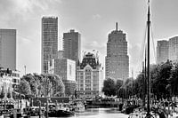 Rotterdam Haringvliet