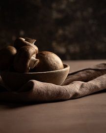 Champignons sur Paulien Hofstede