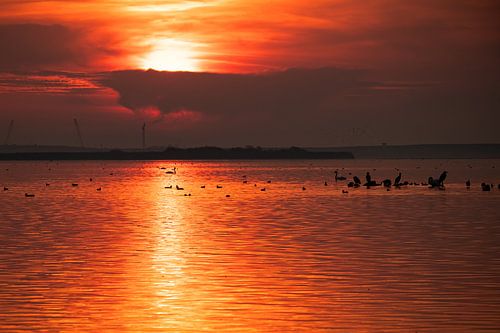 Zonsondergang aan het IJsselmeer