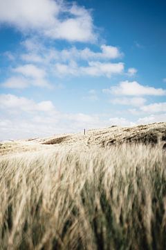 Serenity of Nature in the Dunes by Dave Bitter