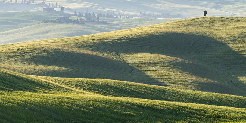 Landschap bij zonsopgang rond Pienza, Val d'Orcia, Toscane van Walter G. Allgöwer