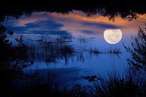 Moon River by Chrystyne Novack Art and Photography