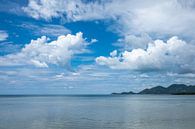 La côte au large de Kho Samui en Thaïlande par Rick Van der Poorten Aperçu