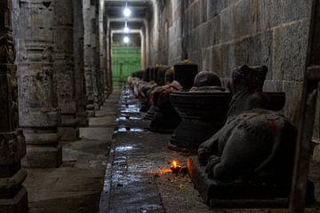 Het heilige vuur in de Ekambareswarar Temple in Kanchipuram van Martijn
