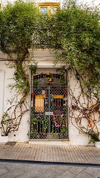 A colourful gateway, Marbella by Mark Litjens Art