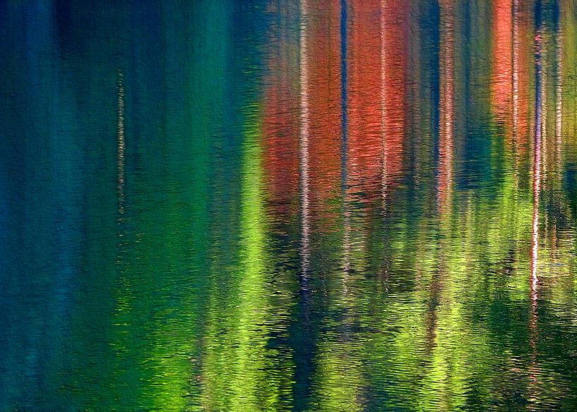 Reflections by Caroline Lichthart