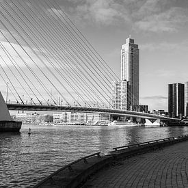 Rotterdam Erasmusbrug van Michiel Vos