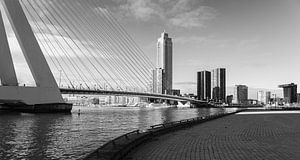 Rotterdam Erasmusbrug van Michiel Vos